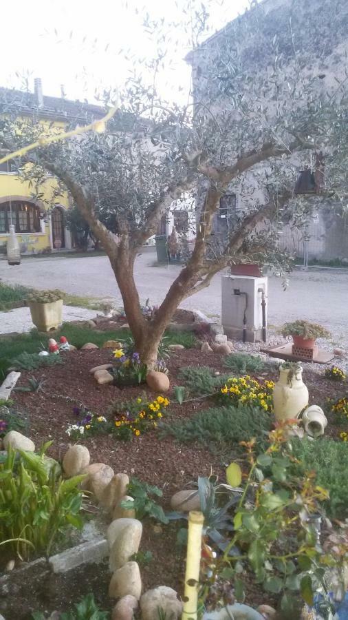 B&B Peschi In Fiore Валеджо-суль-Мінчо Екстер'єр фото